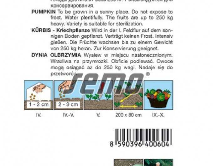 Semo Riesenkürbis Atlantic Giant