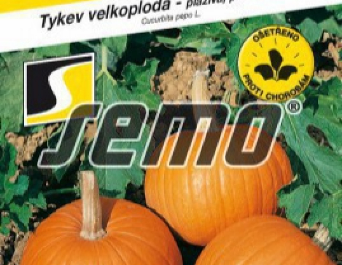 Saatkürbis Yellowgirls F1