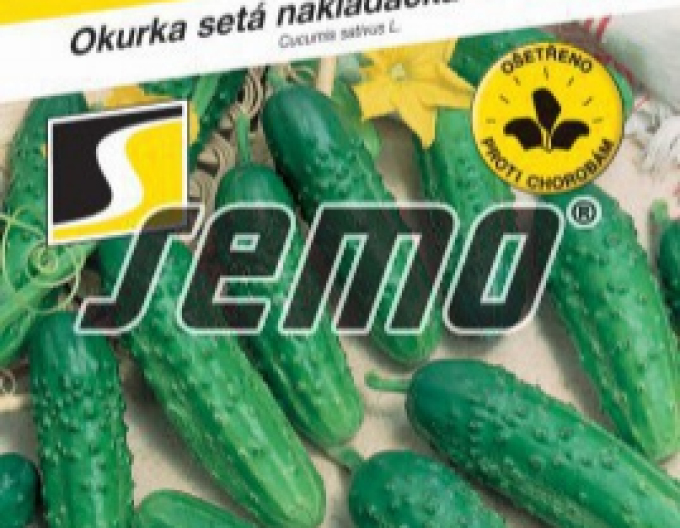 Semo Einlegegurke Regina F1