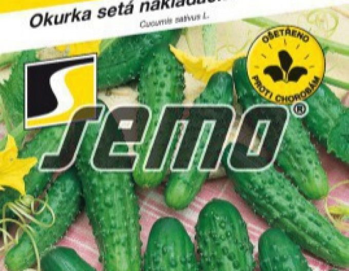Semo Einlegegurke Bohemia F1