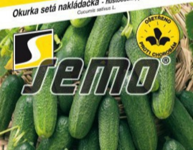 Semo Einlegegurke Harriet F1