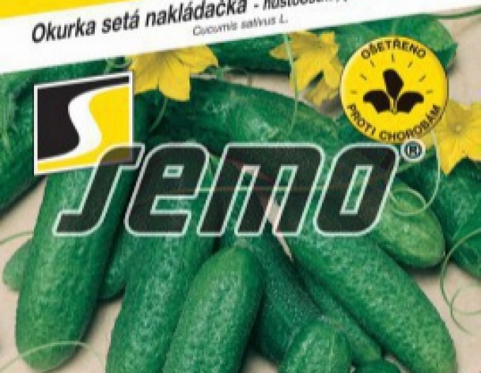 Semo Einlegegurke Elisabet F1