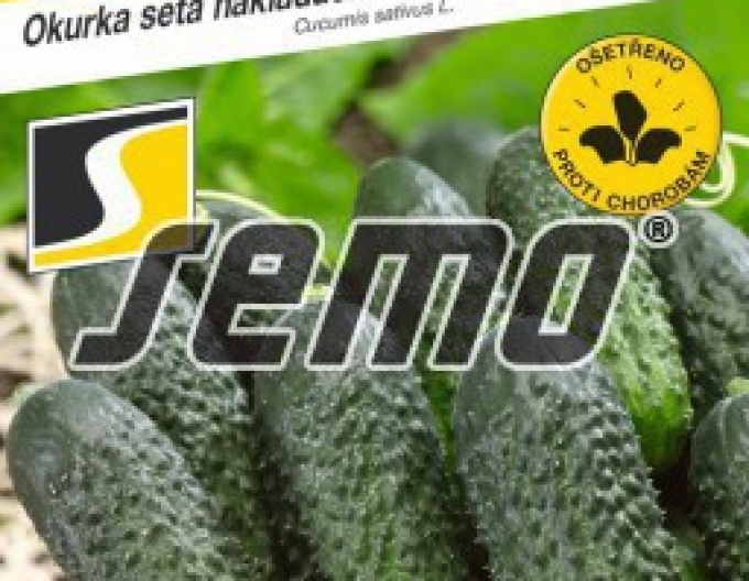 Semo Einlegegurke Dafne F1