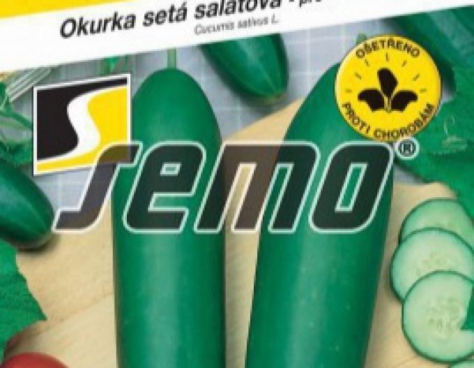 Semo Salatgurke Livie F1