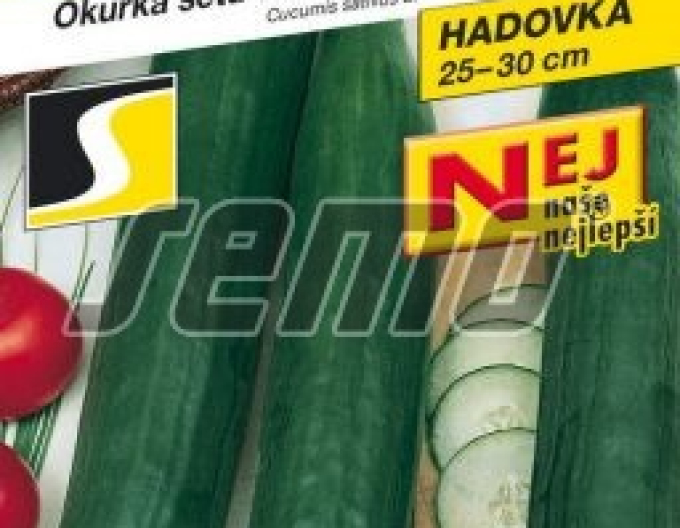 Semo Salatgurke Superstar F1
