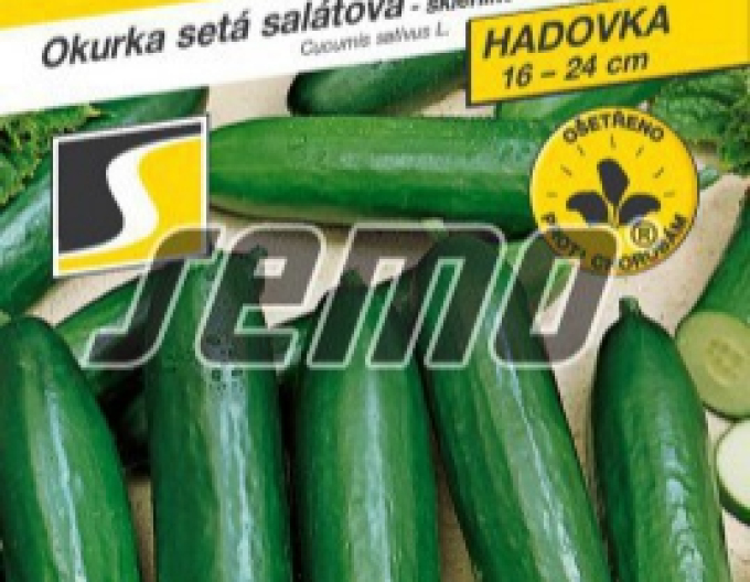 Semo Salatgurke Formula F1
