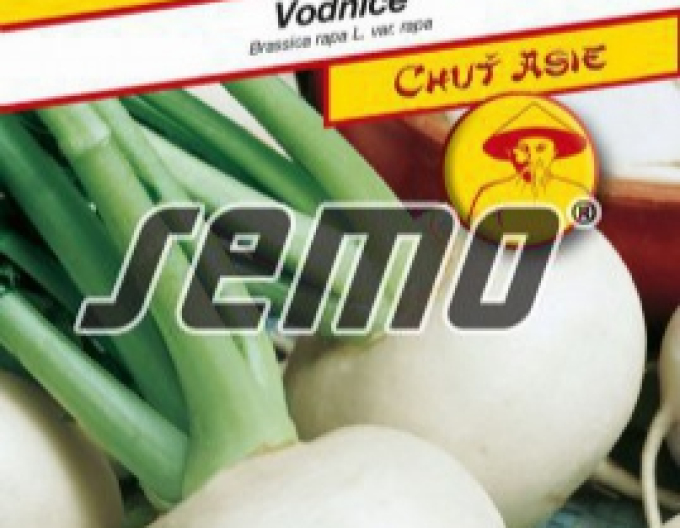 Semo Weißrübe Oasis F1
