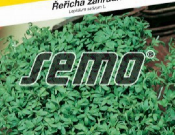 Semo Kresse Dänisch