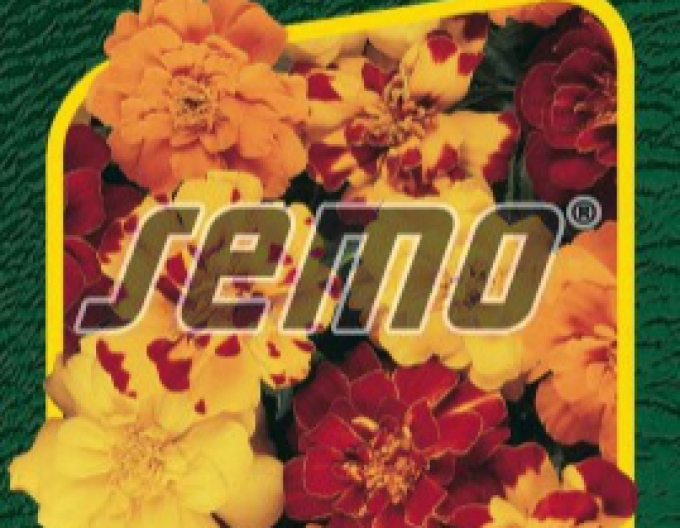 Semo Tagetes Durango Mix