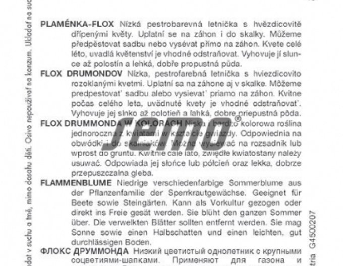 Semo Flox drummonds Schönheit