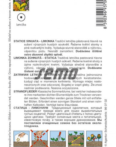 Semo Limonium Mix