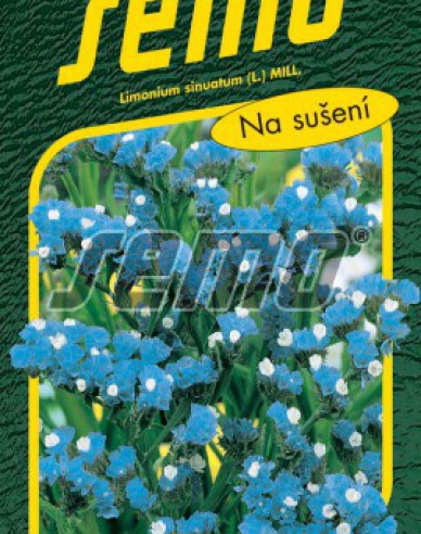Semo Limonium Blue