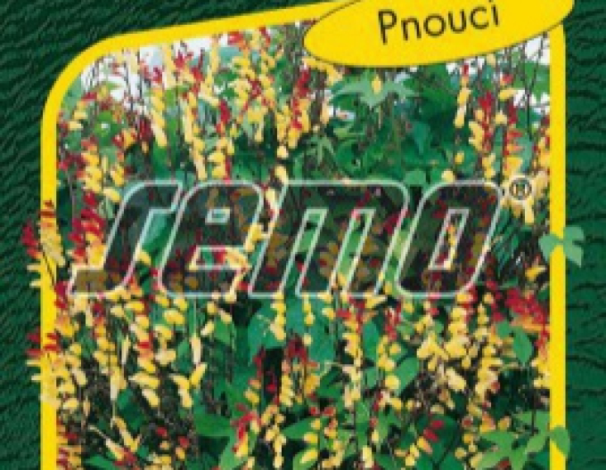 Semo Mina dehnbar