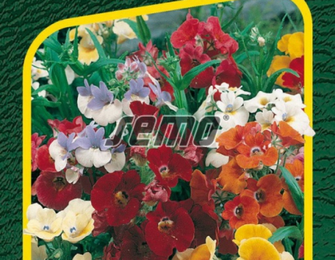 Semo Nemesie Carnaval Mix