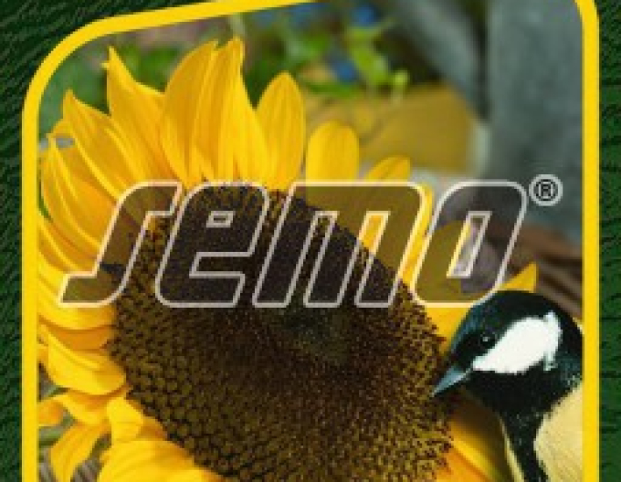 Samen Sonnenblume einjährig Für Vögel
