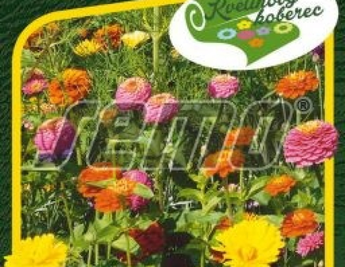 Semo Low Blumenteppich Meadow Glitter