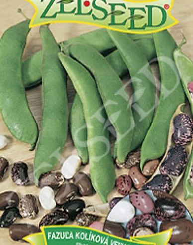 Zelseed Stangenbohne Gefleck