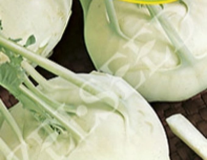 Zelseed Kohlrabi Kartago F1