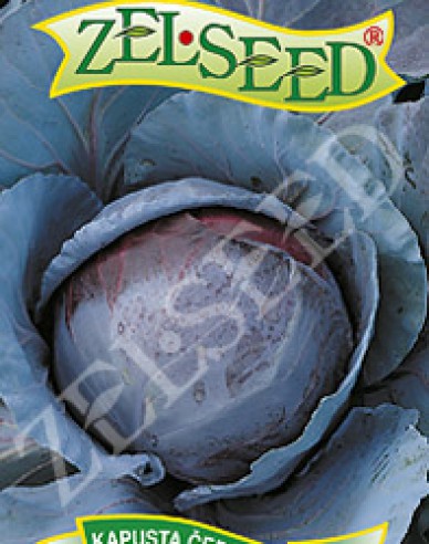 Zelseed Rotkohl Mars