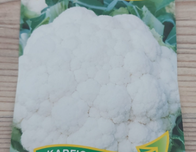 Zelseed Blumenkohl Snow Lady