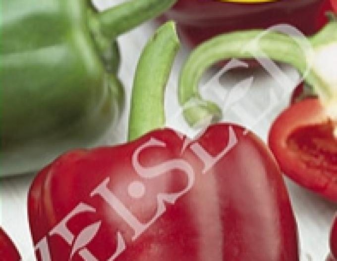 Zelseed Gemüsepaprika zum Aufpeppen Jorga F1