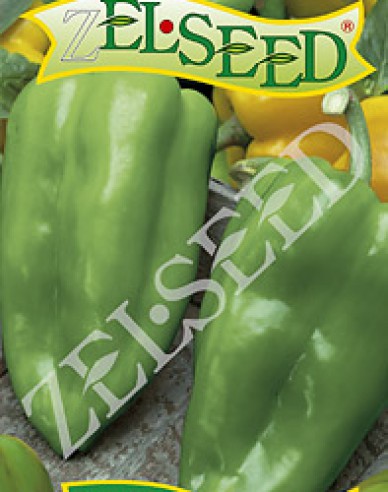 Zelseed Paprika Ivica F1