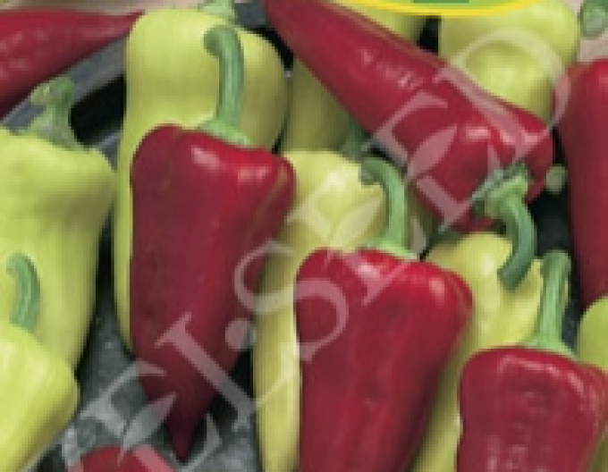 Zelseed Paprika Viki Zel