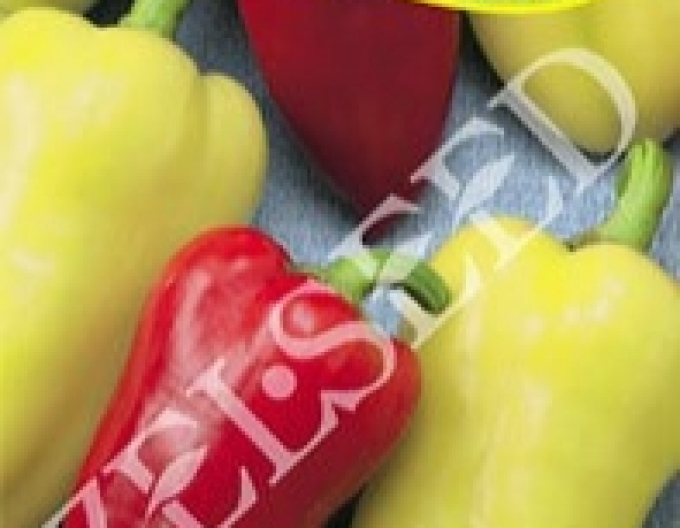 Zelseed Paprika  Tosinka