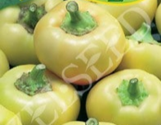 Zelseed Paprika Ilsa Zel