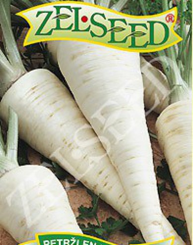 Zelseed Wurzelpetersilie  Alba
