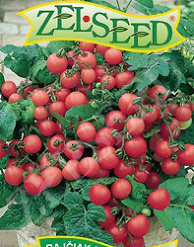 Zelseed Balkontomate Balkonzauber