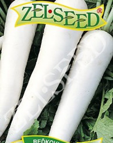 Zelseed Weißer Rettich Rampouch