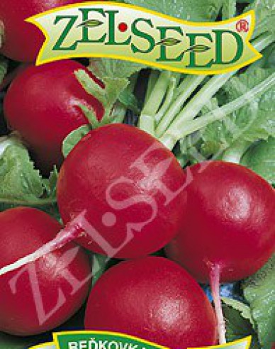 Zelseed Radieschen Maria