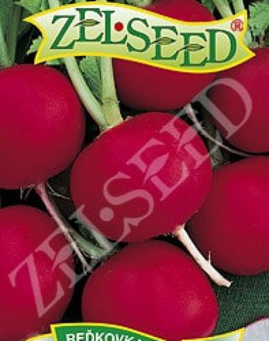 Zelseed Radieschen Rhodos