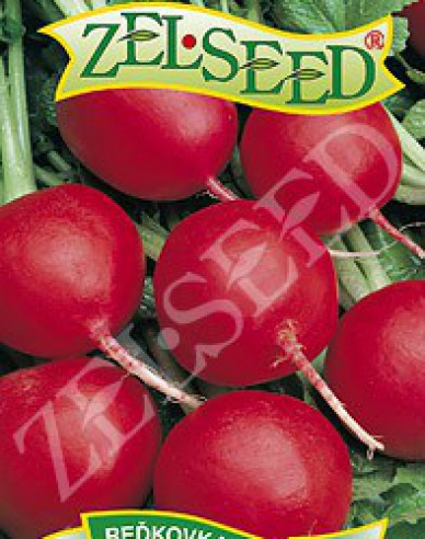 Zelseed Radieschen Granat