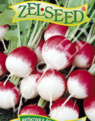 Zelseed Radieschen rot und weiß Duo