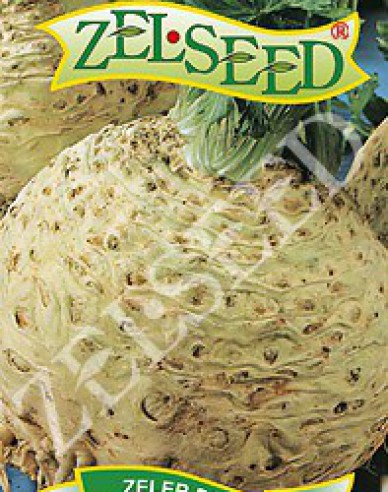 Zelseed Knollensellerie Compact