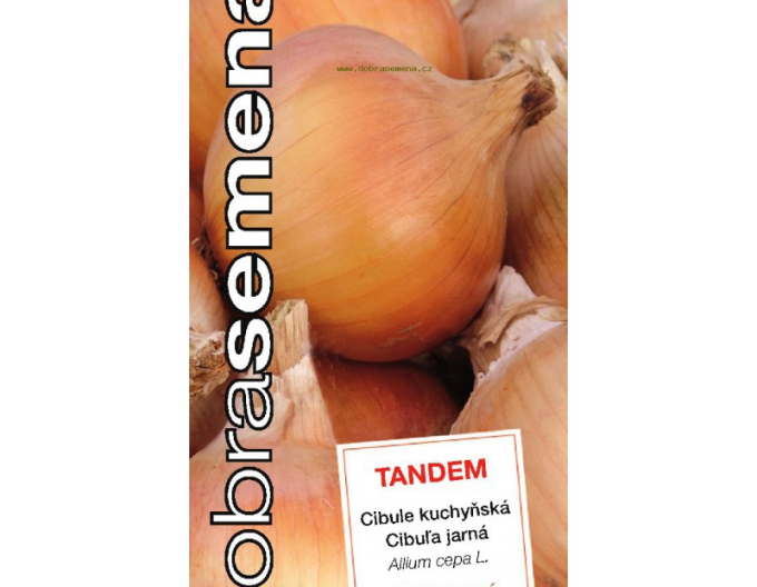 Good Seeds Frühlingszwiebeln Tandem
