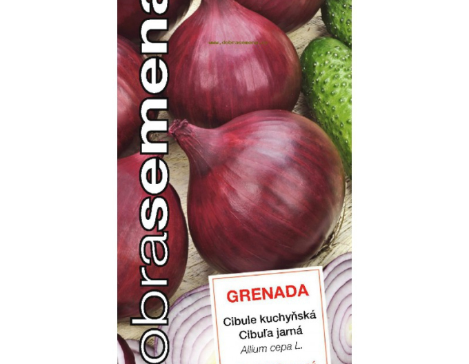 Dobrá semená Frühlingszwiebel Grenada