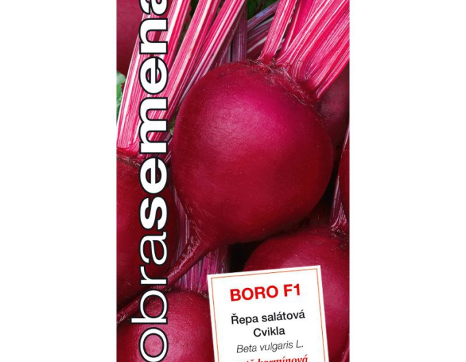 Dobrá semená Rote Bete Boro F1
