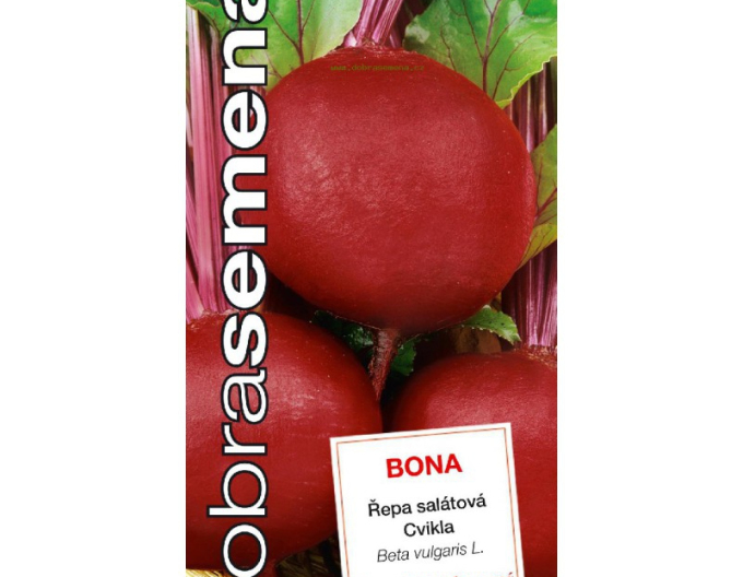 Dobrá semená Rote Bete Bona