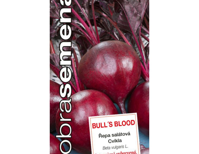 Dobrá semená Rote Bete ´Bull´s Blood