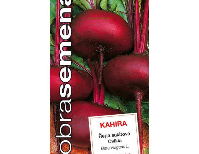 Dobrá semená Rote Bete Kahira