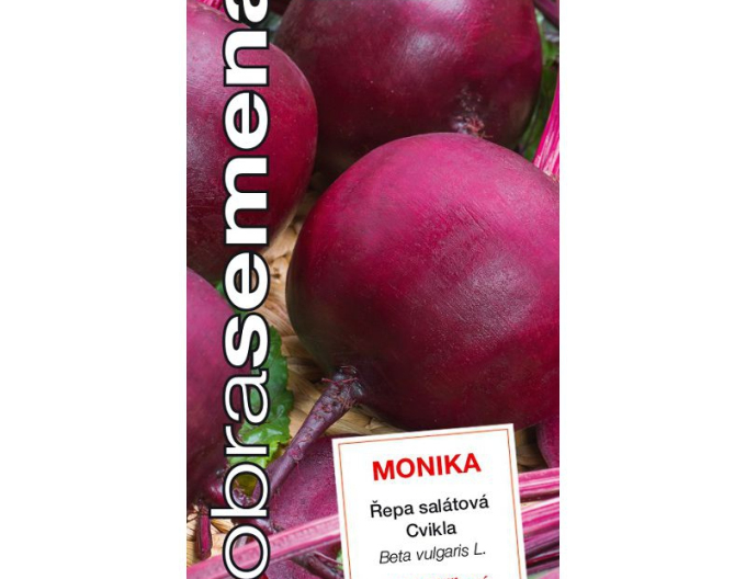 Gutes Saatgut Rote Bete Monika