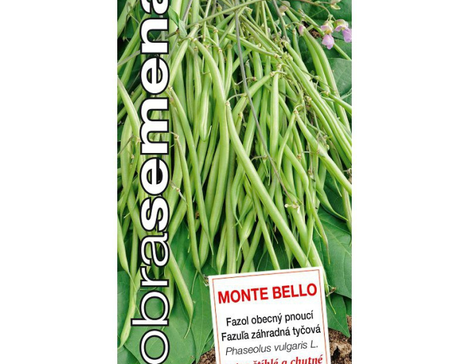 Good Seeds Garden Stangenbohnen Monte Bello