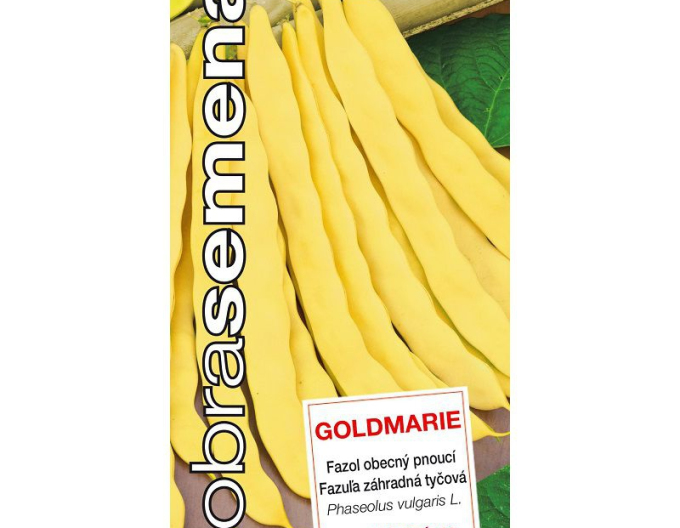 Gutes Saatgut Gartenstangenbohnen Goldmarie