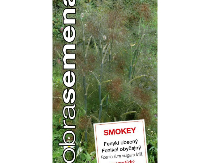 Gute Samen Fenchel Smokey