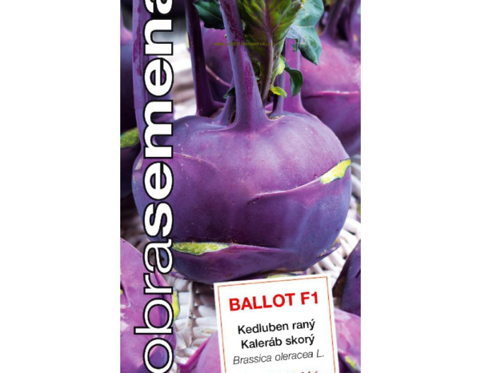 Dobrá semená Kohlrabi Ballot F1