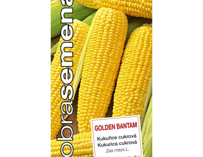 Dobrá semená Zuckermais Golden Bantam