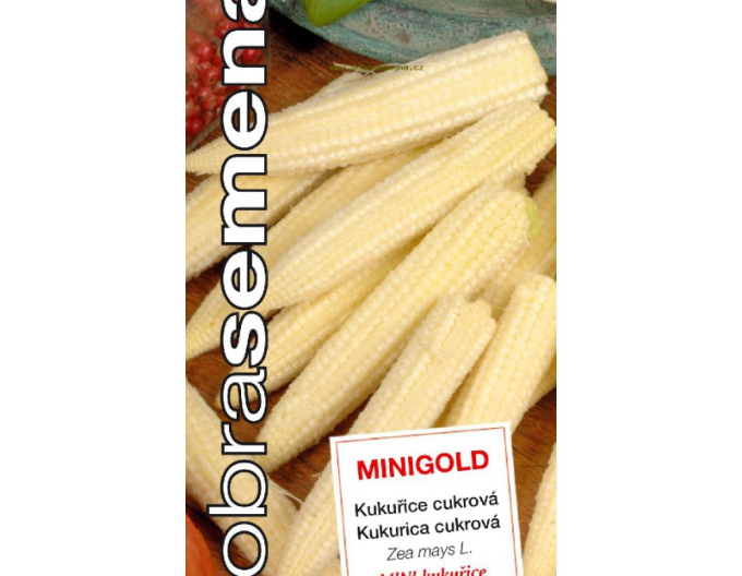 Gutes Saatgut Zuckermais Minigold